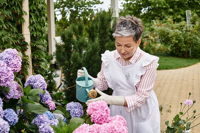 Morristown, TN’s Serene Health Environment For Seniors