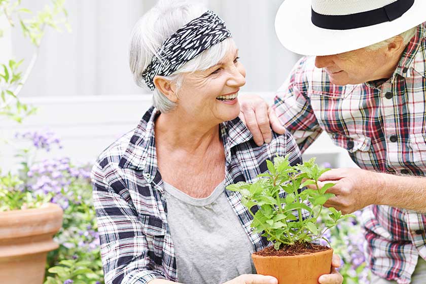 6 Landscaping Considerations That Elevate Assisted Living Experiences