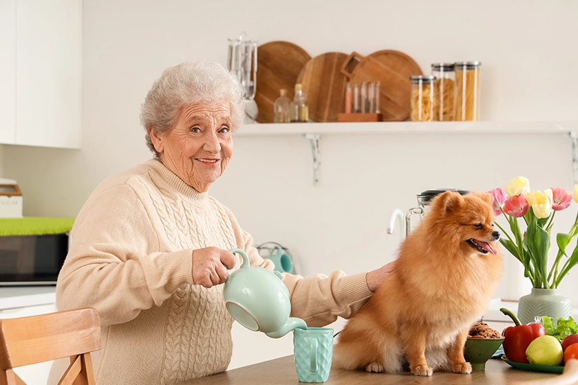 Pet-Friendly Senior Living In Tennessee: 7 Best Communities